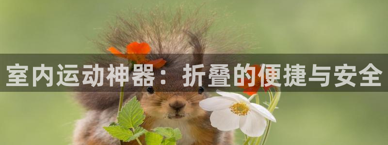 南宫大舞台官网下载招商电话地址:室内运动神器:折叠的便捷与安