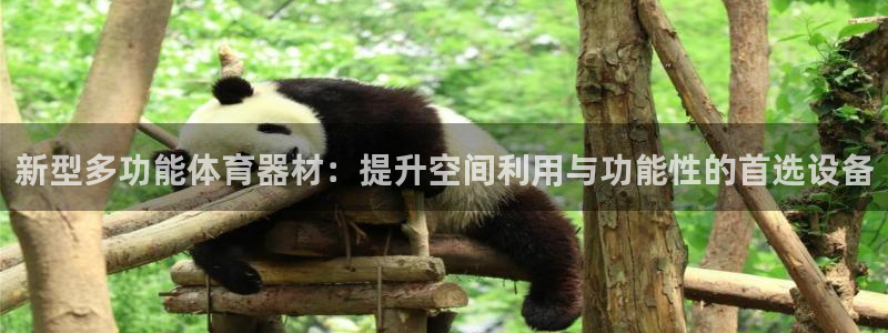 南宫大舞台官方正版app官方:新型多功能体育器材:提升空间利